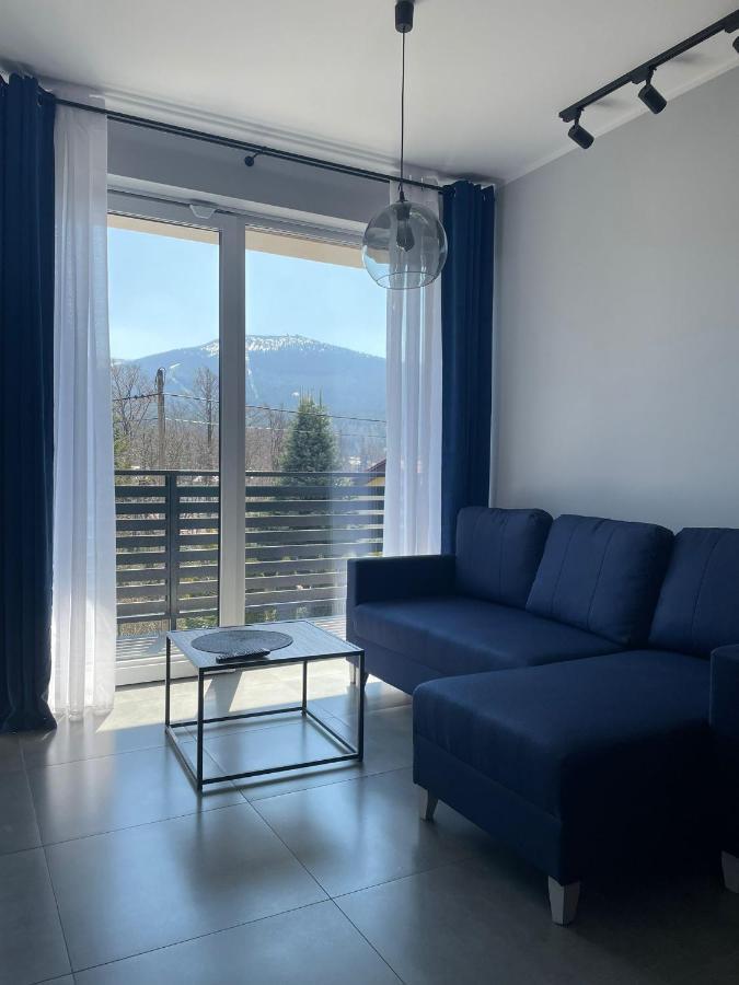 Z Widokiem Apartamenty - Apartamenty Z Widokiem Na Gory I Zewnetrzna Balia Szklarska Poręba Buitenkant foto